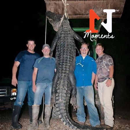 alligator hunting four men