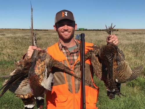 Early Season Tips for Pheasant Hunting Success