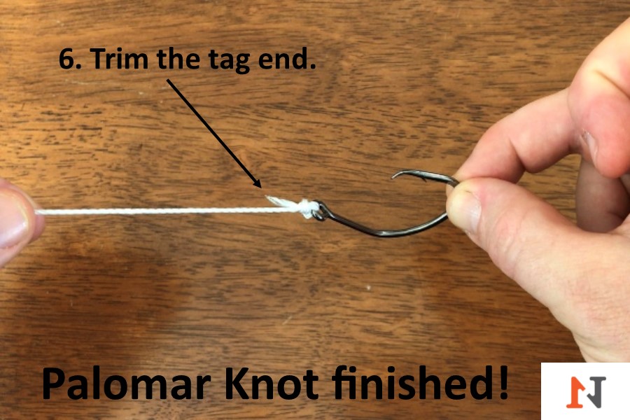 trimming the tag end of line on palomar knot