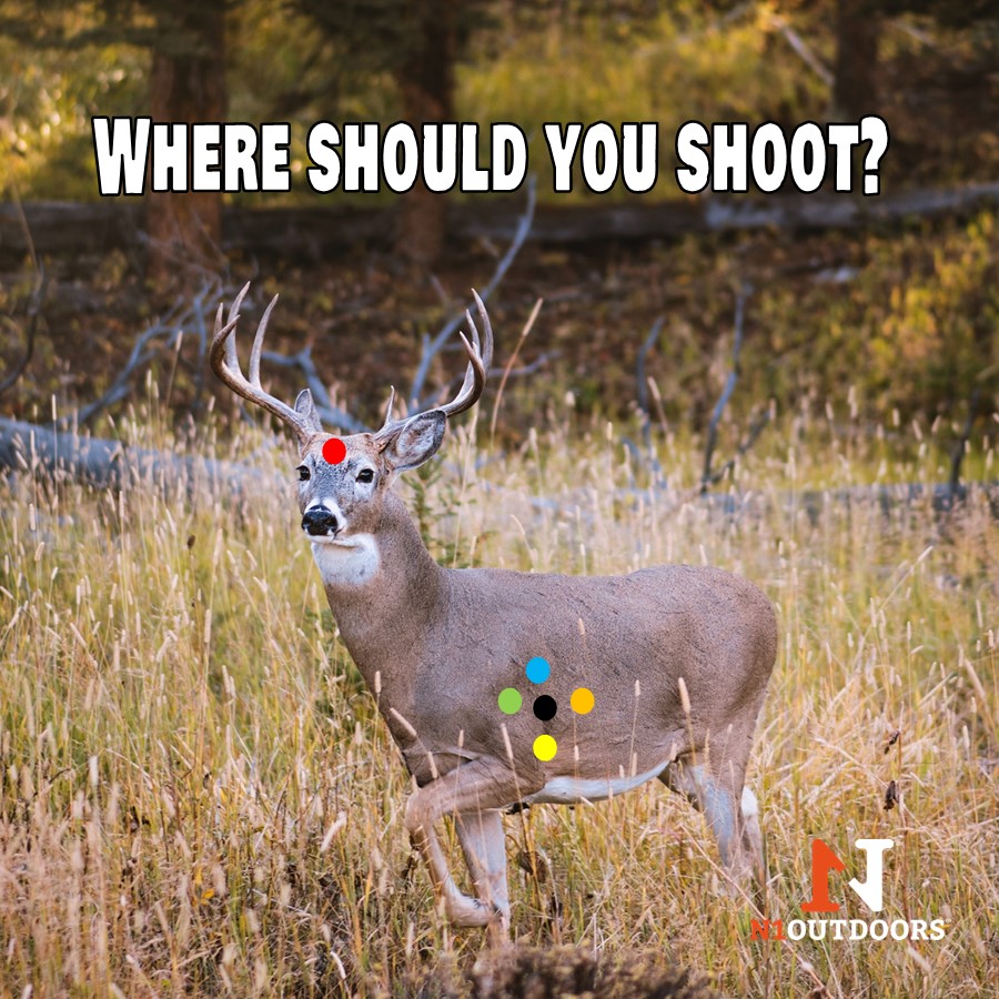 where should you shoot a whitetail diagram