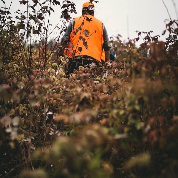 6 Winning Public Land Hunting Tips