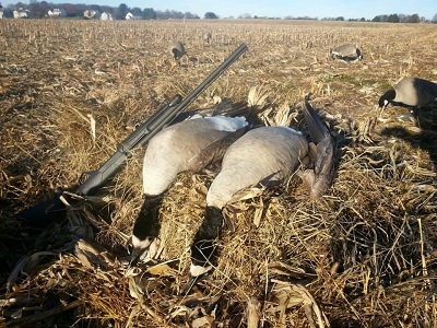 goose hunting pic with gun