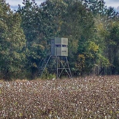 permanent hunting blind in cotton field