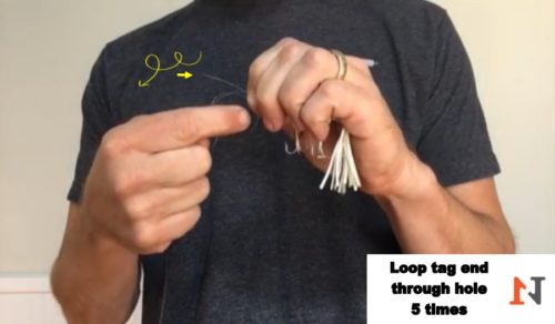 loop the tag end 5 times