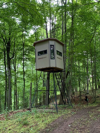 muddy box stand in woods