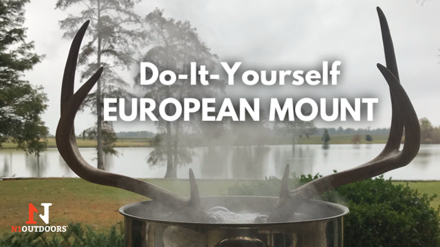 how to make a european mount