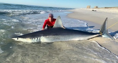 man with mako shark on beach surf