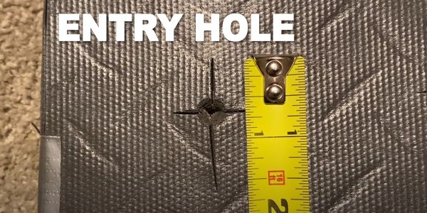 entry hole of gravedigger broadhead in ballistic gel test