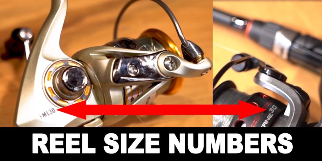 fishing reel size numbers