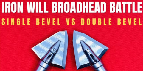 iron will single bevel vs double bevel solids