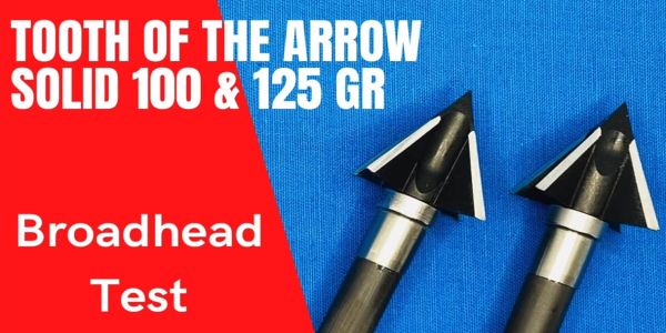 tooth of the arrow solid broadheads