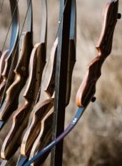 risers of trad bow
