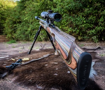 long range rifle and scope