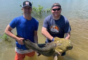 noodling catfish n1outdoors