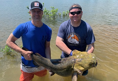two men holding giant flathead catfish