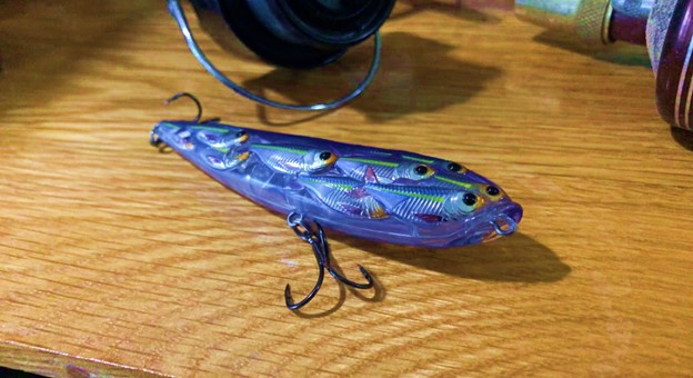 spook topwater lure
