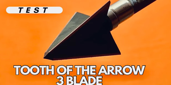 tooth of the arrow 3-blade broadhead