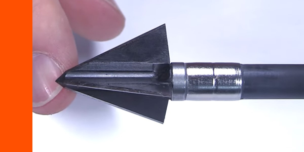 tooth of the arrow 3-blade point