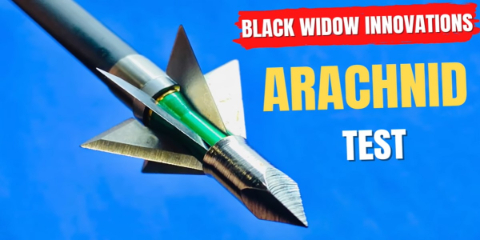 black widow arachnid broadhead review