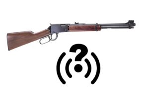 A Boom Or A Whisper? | How Loud Is a .22 Rifle?