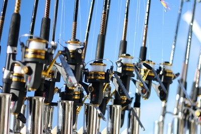 fishing rods in a row