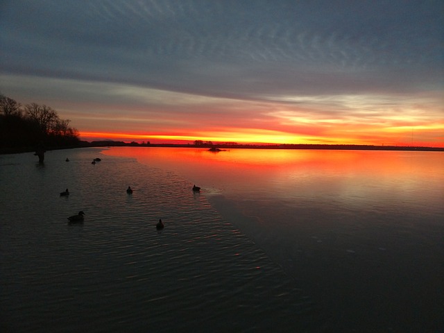 duck decoys at sunrise