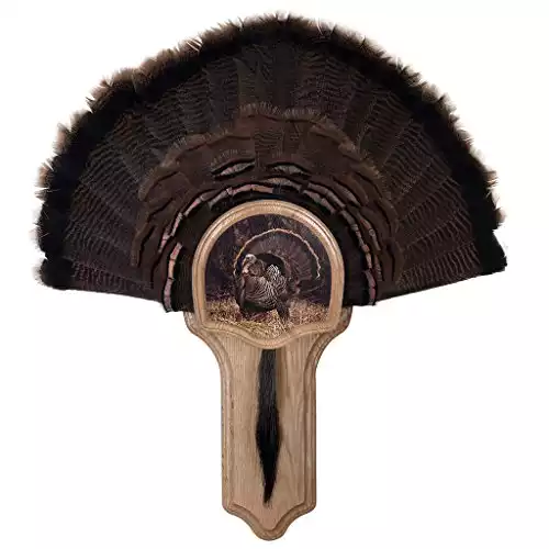 Walnut Hollow Deluxe Turkey Display Kit Oak