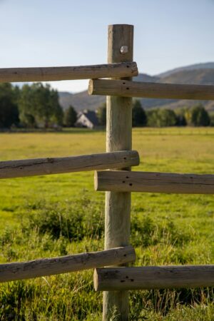 fence post on private land