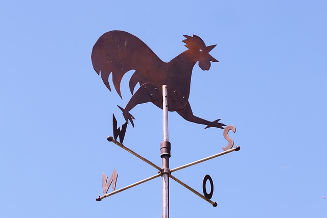 weather cock showing wind direction