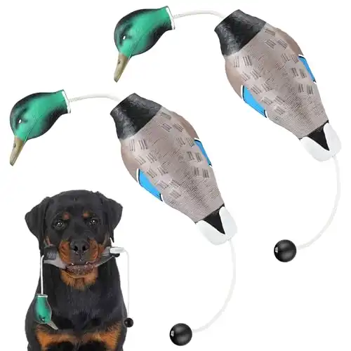 Saillong 2 Pack Duck Toy for Dog Training, Wild Duck Hunting Dogs Training Dummy Bumper, Teaches Mallard and Waterfowl Game Retrieval Training for Puppies or Adult Hunting Dogs