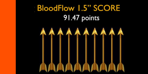 Bloodflow 1.5 broadhead scorecard
