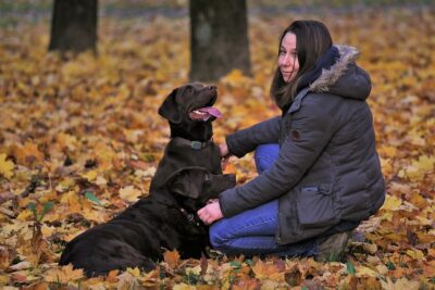 woman dog trainer with labs