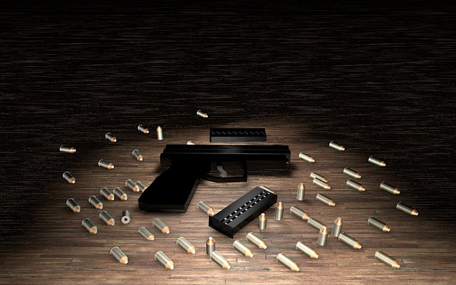 handgun and ammo