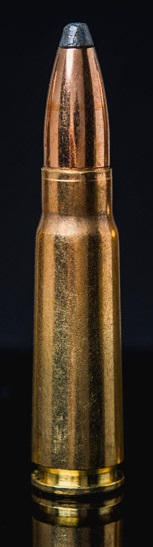 soft point bullet