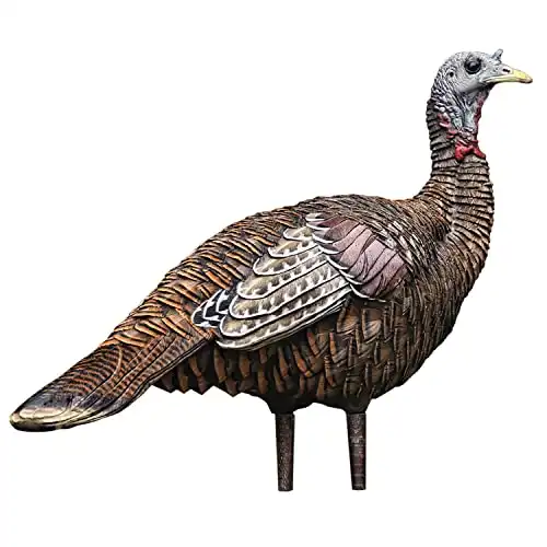 Avian X LCD Lookout Hen Lifelike Collapsible Turkey Gobbler Hunting Decoy w/ Carbon Stake, Carry Bag, & Storage Compression Strap