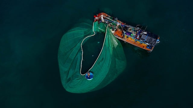 boat casting fish net 1