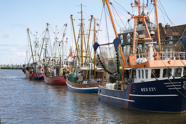 fishing boats