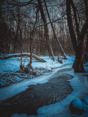 snowy river