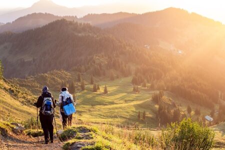 hikers with poles
