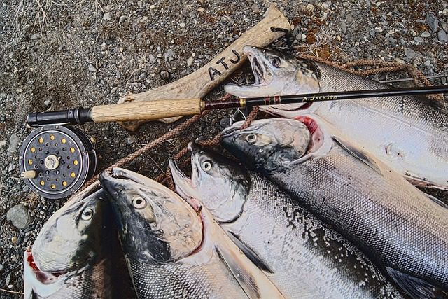 fishing in alaska salmon