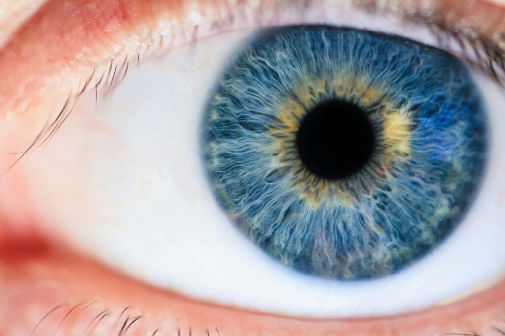 human eye up close