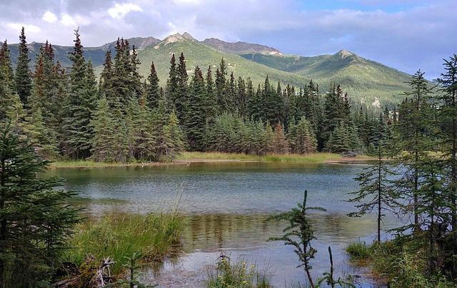 view of fishing spot in alaska