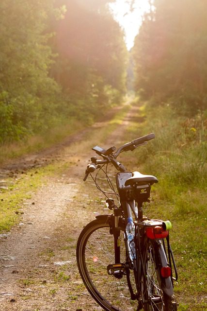 bike sitting on a trail