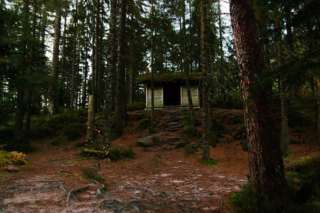 temporary cabin in woods