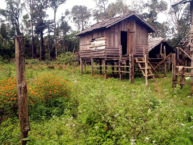 temporary hunting cabin with ladder