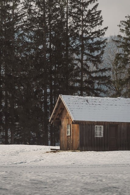 tiny cabin