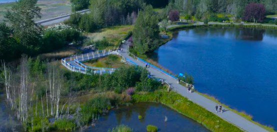 tony knowles trail alaska