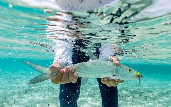 bonefish in bahamas