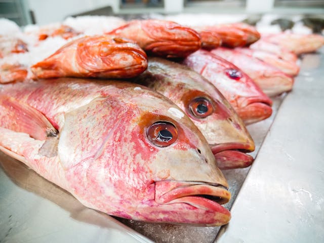 red snapper on table