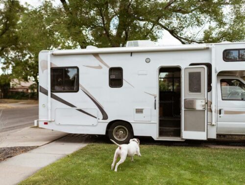 rv door opwn and dog running